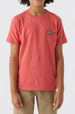Kids/BOY O’Neill Tops<BOY'S CHARGER TEE