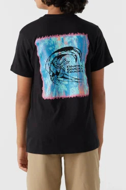 Kids/BOY O’Neill Tops<BOY'S EXPOSURE TEE