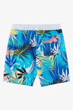 Kids/BOY O’Neill Boardshorts<BOY'S HERMOSA ELASTIC WAIST 16" SWIM TRUNKS