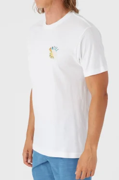 O’Neill Tees<ECLIPSE TEE