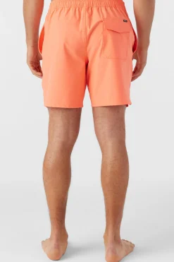 O’Neill Side Pockets|Swim Trunks<LENNOX HERMOSA SOLID ELASTIC WAIST 17" SWIM TRUNKS