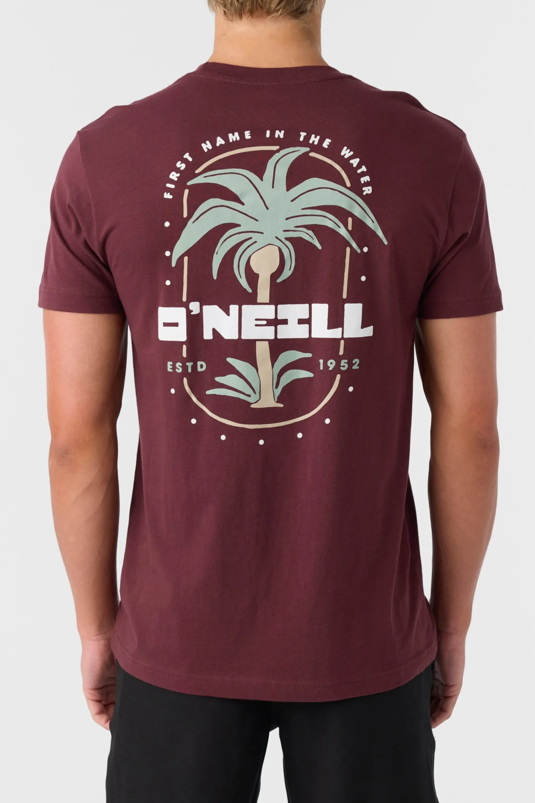 O’Neill Tees<STRAINDS STANDARD FIT TEE